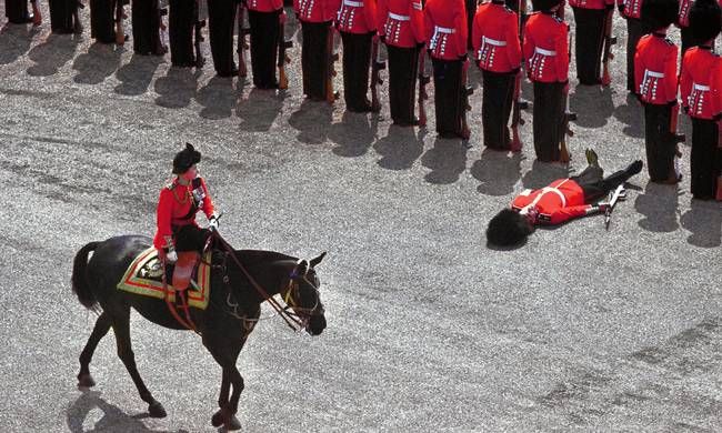 High Quality passed out english guard Blank Meme Template