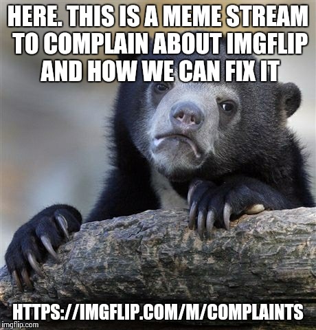 Confession Bear | HERE. THIS IS A MEME STREAM TO COMPLAIN ABOUT IMGFLIP AND HOW WE CAN FIX IT HTTPS://IMGFLIP.COM/M/COMPLAINTS | image tagged in memes,confession bear | made w/ Imgflip meme maker