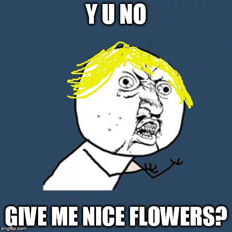 Y U No Meme | Y U NO GIVE ME NICE FLOWERS? | image tagged in memes,y u no | made w/ Imgflip meme maker