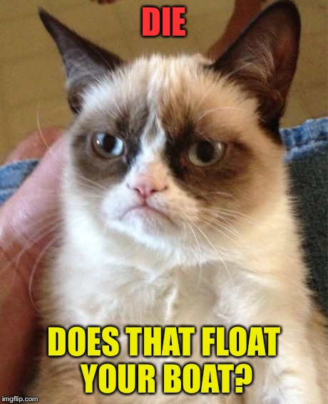 Grumpy Cat Meme | DIE DOES THAT FLOAT YOUR BOAT? | image tagged in memes,grumpy cat | made w/ Imgflip meme maker
