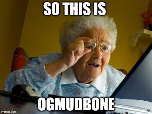 Grandma Finds The Internet Meme | SO THIS IS OGMUDBONE | image tagged in memes,grandma finds the internet | made w/ Imgflip meme maker