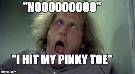 Scary Harry Meme | "NOOOOOOOOO" "I HIT MY PINKY TOE" | image tagged in memes,scary harry | made w/ Imgflip meme maker