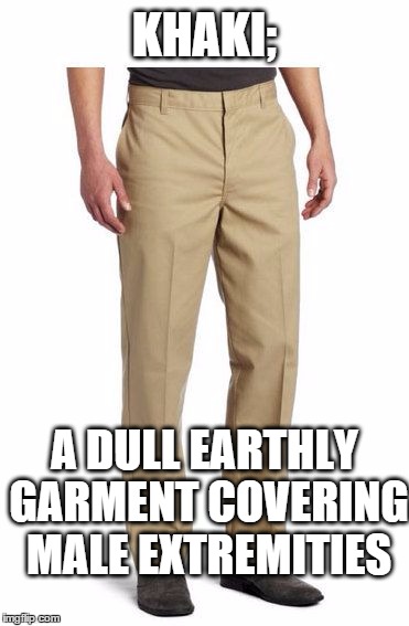 KHAKI; A DULL EARTHLY GARMENT COVERING MALE EXTREMITIES | image tagged in jake from state farm,khaki | made w/ Imgflip meme maker
