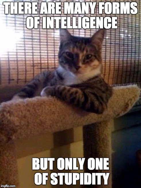 The Most Interesting Cat In The World Meme | THERE ARE MANY FORMS OF INTELLIGENCE BUT ONLY ONE OF STUPIDITY | image tagged in memes,the most interesting cat in the world | made w/ Imgflip meme maker