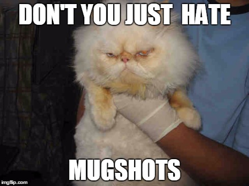 Kimba the criminal | DON'T YOU JUST  HATE MUGSHOTS | image tagged in kitty,kitteh | made w/ Imgflip meme maker