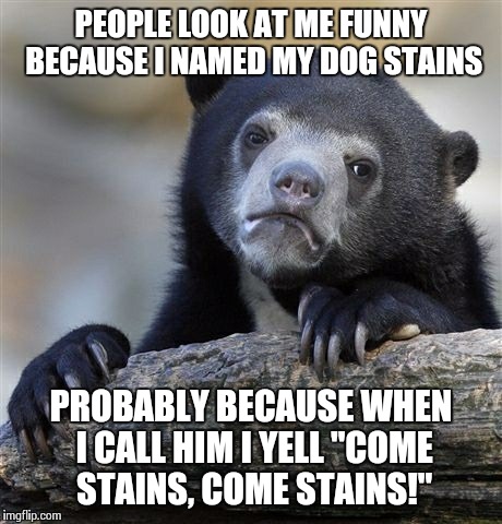 Come Here Boy! | PEOPLE LOOK AT ME FUNNY BECAUSE I NAMED MY DOG STAINS PROBABLY BECAUSE WHEN I CALL HIM I YELL "COME STAINS, COME STAINS!" | image tagged in memes,confession bear | made w/ Imgflip meme maker