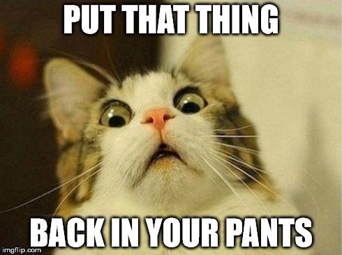 Put that thing back in your pants | PUT THAT THING BACK IN YOUR PANTS | image tagged in memes,scared cat,pants,dick | made w/ Imgflip meme maker