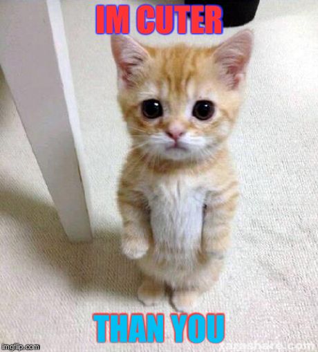 Cute Cat | IM CUTER THAN YOU | image tagged in memes,cute cat | made w/ Imgflip meme maker