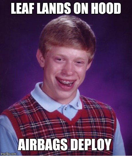 Bad Luck Brian Meme | LEAF LANDS ON HOOD AIRBAGS DEPLOY | image tagged in memes,bad luck brian | made w/ Imgflip meme maker