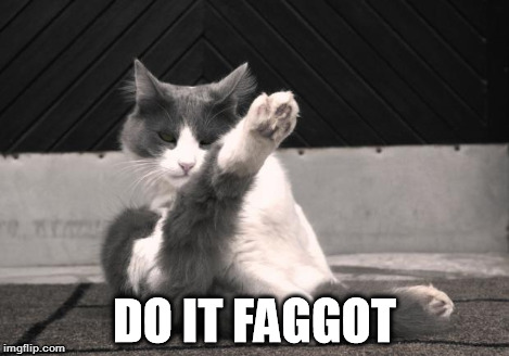 Karate Cat | DO IT F*GGOT | image tagged in karate cat | made w/ Imgflip meme maker