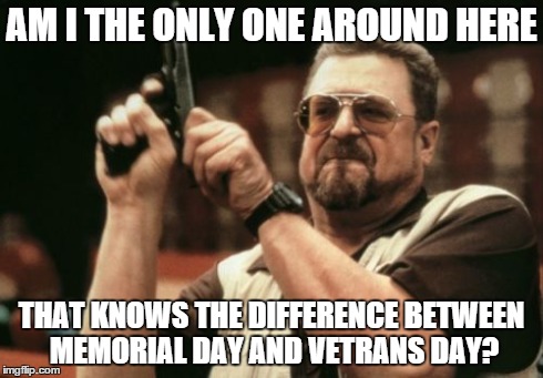 Am I The Only One Around Here | AM I THE ONLY ONE AROUND HERE THAT KNOWS THE DIFFERENCE BETWEEN MEMORIAL DAY AND VETRANS DAY? | image tagged in memes,am i the only one around here | made w/ Imgflip meme maker