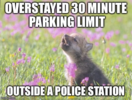 Baby Insanity Wolf | OVERSTAYED 30 MINUTE PARKING LIMIT OUTSIDE A POLICE STATION | image tagged in memes,baby insanity wolf,AdviceAnimals | made w/ Imgflip meme maker