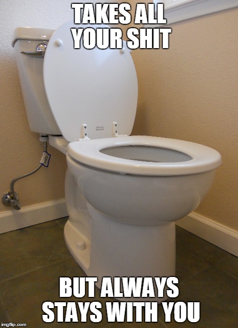 the one!!! | TAKES ALL YOUR SHIT BUT ALWAYS STAYS WITH YOU | image tagged in meme,funny,9gag,toilet humor,girlfriend | made w/ Imgflip meme maker