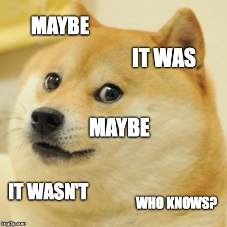 Doge Meme | MAYBE IT WAS MAYBE IT WASN'T WHO KNOWS? | image tagged in memes,doge | made w/ Imgflip meme maker