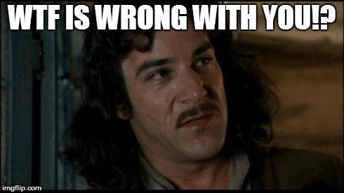 The Princess Bride | WTF IS WRONG WITH YOU!? | image tagged in the princess bride | made w/ Imgflip meme maker