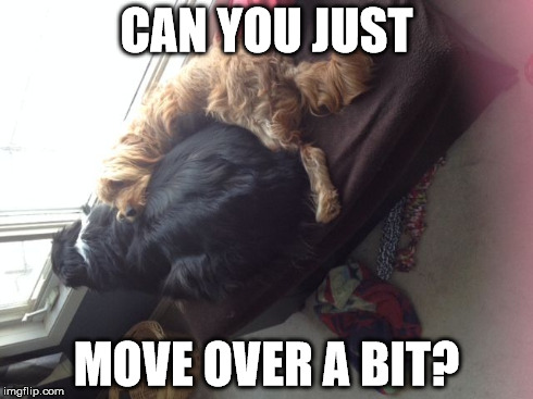 CAN YOU JUST MOVE OVER A BIT? | image tagged in move over | made w/ Imgflip meme maker