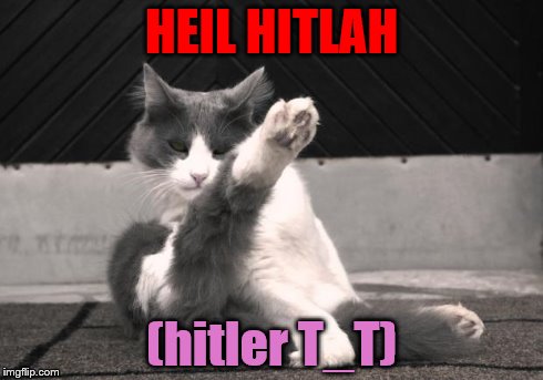 Karate Cat | HEIL HITLAH (hitler T_T) | image tagged in karate cat | made w/ Imgflip meme maker