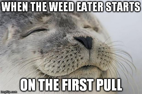 Satisfied Seal Meme | WHEN THE WEED EATER STARTS ON THE FIRST PULL | image tagged in memes,satisfied seal,AdviceAnimals | made w/ Imgflip meme maker