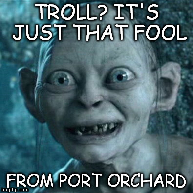 Gollum | TROLL? IT'S JUST THAT FOOL FROM PORT ORCHARD | image tagged in memes,gollum | made w/ Imgflip meme maker
