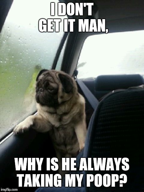 And saving them in bags... | I DON'T GET IT MAN, WHY IS HE ALWAYS TAKING MY POOP? | image tagged in introspective pug | made w/ Imgflip meme maker
