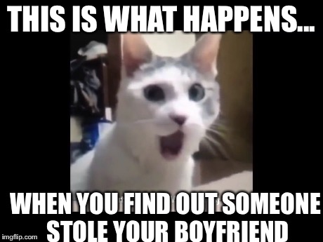 THIS IS WHAT HAPPENS... WHEN YOU FIND OUT SOMEONE STOLE YOUR BOYFRIEND | image tagged in omg | made w/ Imgflip meme maker