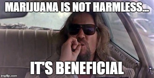 MARIJUANA IS NOT HARMLESS... IT'S BENEFICIAL | image tagged in marijuana,the dude,the big lebowski | made w/ Imgflip meme maker