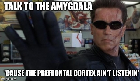 Talk to the hand! | TALK TO THE AMYGDALA 'CAUSE THE PREFRONTAL CORTEX AIN'T LISTENIN' | image tagged in talk to the hand | made w/ Imgflip meme maker