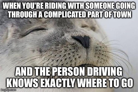 Satisfied Seal | WHEN YOU'RE RIDING WITH SOMEONE GOING THROUGH A COMPLICATED PART OF TOWN AND THE PERSON DRIVING KNOWS EXACTLY WHERE TO GO | image tagged in memes,satisfied seal | made w/ Imgflip meme maker