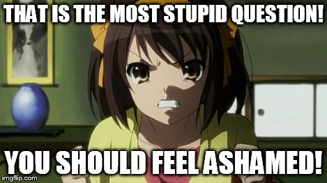 Angry Haruhi | THAT IS THE MOST STUPID QUESTION! YOU SHOULD FEEL ASHAMED! | image tagged in angry haruhi | made w/ Imgflip meme maker