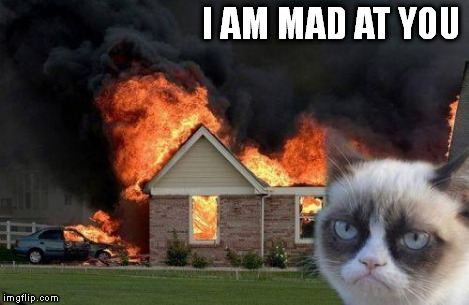 Burn Kitty | I AM MAD AT YOU | image tagged in burn kitty | made w/ Imgflip meme maker