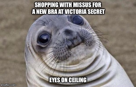 Awkward Moment Sealion Meme | SHOPPING WITH MISSUS FOR A NEW BRA AT VICTORIA SECRET EYES ON CEILING | image tagged in memes,awkward moment sealion | made w/ Imgflip meme maker