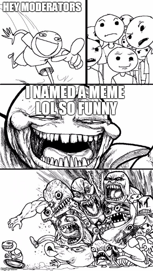 Hey Internet | HEY MODERATORS I NAMED A MEME LOL SO FUNNY | image tagged in memes,hey internet | made w/ Imgflip meme maker