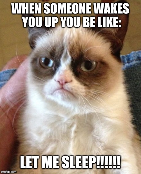 Grumpy Cat | WHEN SOMEONE WAKES YOU UP YOU BE LIKE: LET ME SLEEP!!!!!! | image tagged in memes,grumpy cat | made w/ Imgflip meme maker