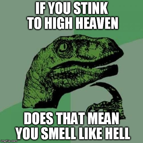 Philosoraptor Meme | IF YOU STINK TO HIGH HEAVEN DOES THAT MEAN YOU SMELL LIKE HELL | image tagged in memes,philosoraptor | made w/ Imgflip meme maker