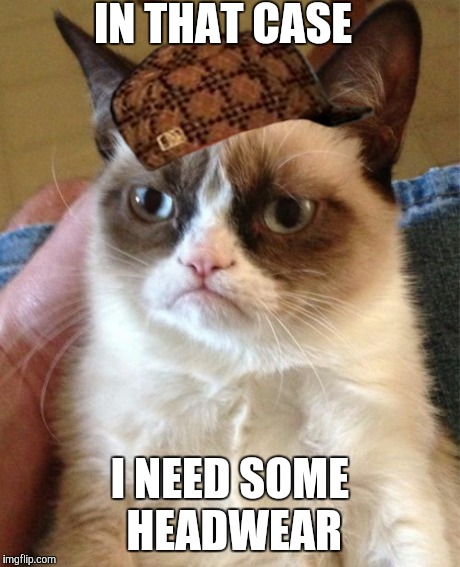 Grumpy Cat Meme | IN THAT CASE I NEED SOME HEADWEAR | image tagged in memes,grumpy cat,scumbag | made w/ Imgflip meme maker