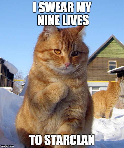 I SWEAR MY NINE LIVES TO STARCLAN | image tagged in cat,warriors | made w/ Imgflip meme maker