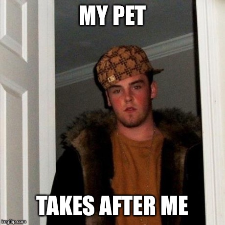 Scumbag Steve Meme | MY PET TAKES AFTER ME | image tagged in memes,scumbag steve | made w/ Imgflip meme maker