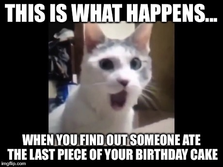 THIS IS WHAT HAPPENS... WHEN YOU FIND OUT SOMEONE ATE THE LAST PIECE OF YOUR BIRTHDAY CAKE | image tagged in omg | made w/ Imgflip meme maker