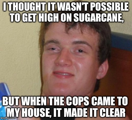10 Guy Meme | I THOUGHT IT WASN'T POSSIBLE TO GET HIGH ON SUGARCANE, BUT WHEN THE COPS CAME TO MY HOUSE, IT MADE IT CLEAR | image tagged in memes,10 guy | made w/ Imgflip meme maker