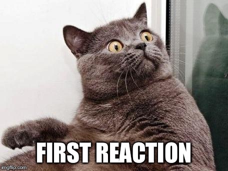 surprised cat | FIRST REACTION | image tagged in surprised cat | made w/ Imgflip meme maker