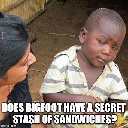 Third World Skeptical Kid Meme | DOES BIGFOOT HAVE A SECRET STASH OF SANDWICHES? | image tagged in memes,third world skeptical kid | made w/ Imgflip meme maker