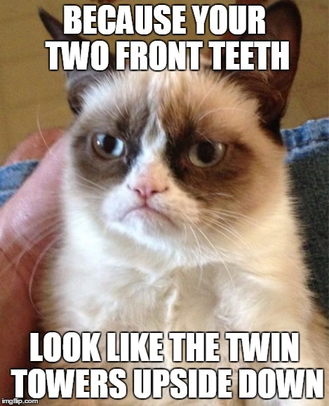 Grumpy Cat Meme | BECAUSE YOUR TWO FRONT TEETH LOOK LIKE THE TWIN TOWERS UPSIDE DOWN | image tagged in memes,grumpy cat | made w/ Imgflip meme maker