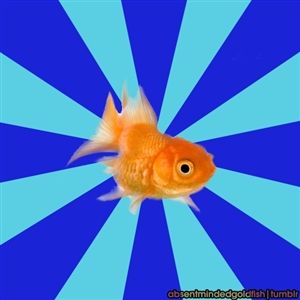 Absentminded Goldfish Blank Meme Template