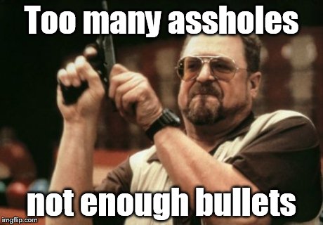 Am I The Only One Around Here Meme | Too many assholes not enough bullets | image tagged in memes,am i the only one around here | made w/ Imgflip meme maker