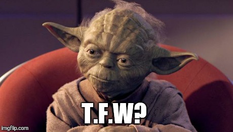 Yoda Wisdom | T.F.W? | image tagged in yoda wisdom | made w/ Imgflip meme maker