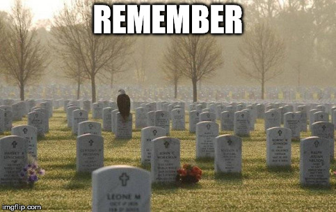 REMEMBER | image tagged in remember,memorialday,veterans | made w/ Imgflip meme maker