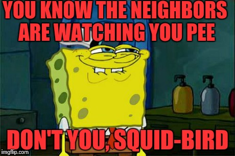 Don't You Squidward Meme | YOU KNOW THE NEIGHBORS ARE WATCHING YOU PEE DON'T YOU, SQUID-BIRD | image tagged in memes,dont you squidward | made w/ Imgflip meme maker