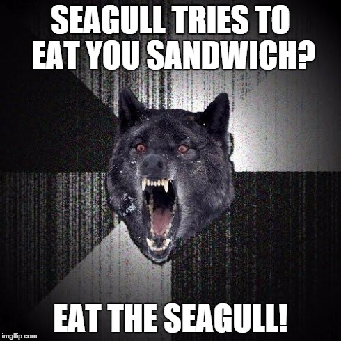 Insanity Wolf | SEAGULL TRIES TO EAT YOU SANDWICH? EAT THE SEAGULL! | image tagged in memes,insanity wolf | made w/ Imgflip meme maker