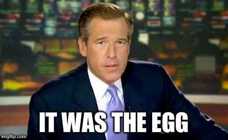 Brian Williams Was There Meme | IT WAS THE EGG | image tagged in memes,brian williams was there | made w/ Imgflip meme maker