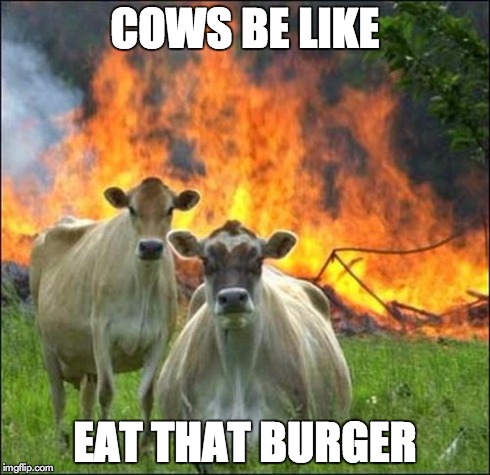 Evil Cows | COWS BE LIKE EAT THAT BURGER | image tagged in memes,evil cows | made w/ Imgflip meme maker